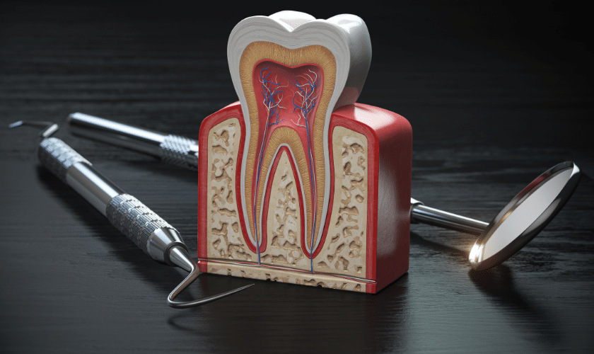 Demystifying Root Canal Procedure: A Comprehensive Patient's Guide